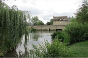 management conference